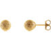 Stardust Ball Earrings - Crestwood Jewelers